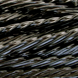 Black Licorice Twists