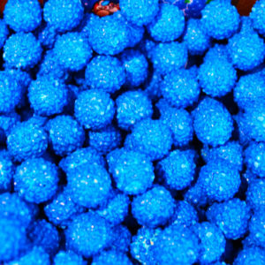 Blue Raspberry Bubble Gum
